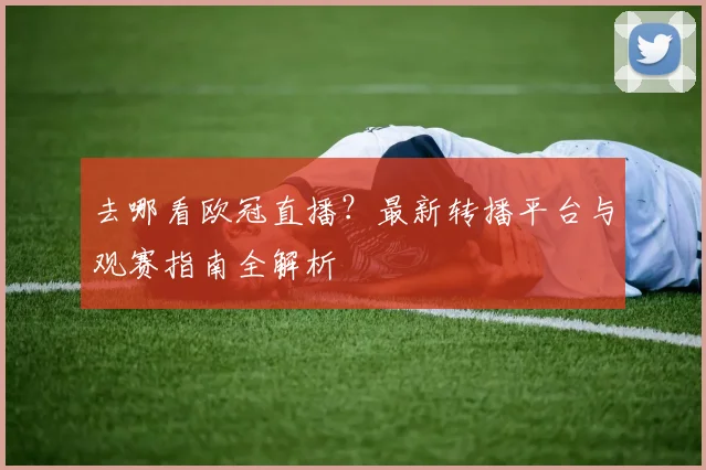 去哪看欧冠直播？最新转播平台与观赛指南全解析