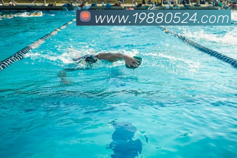 App Interface Preview