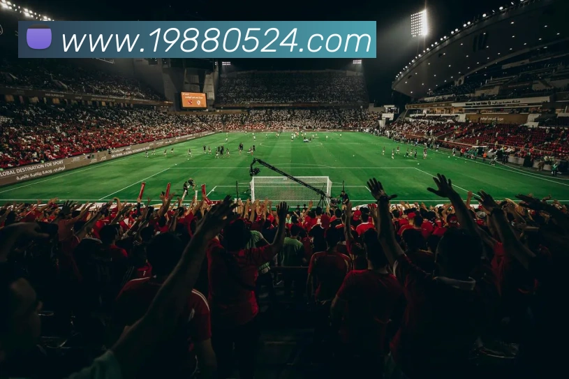 9游会官网首页入口APP 封面图